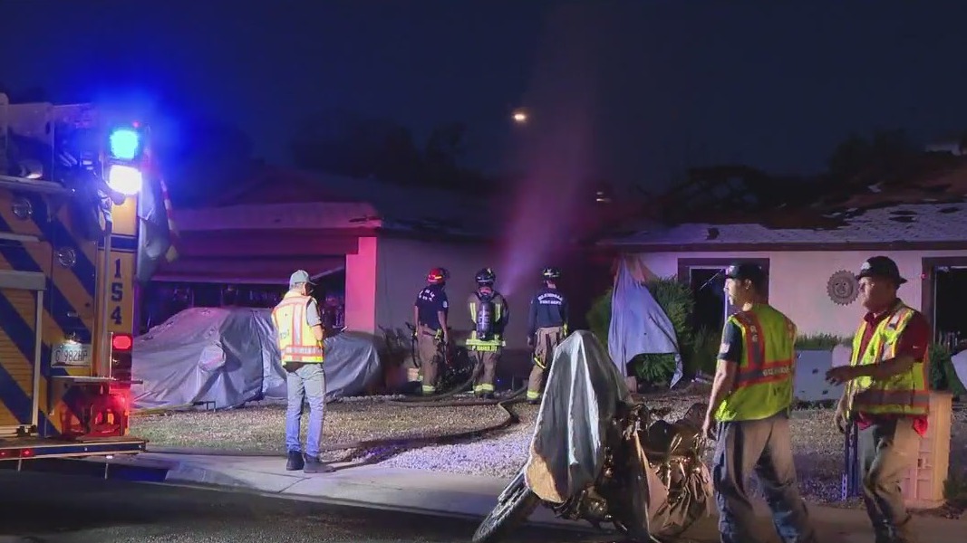 Non-profit helping family with dog after house fire