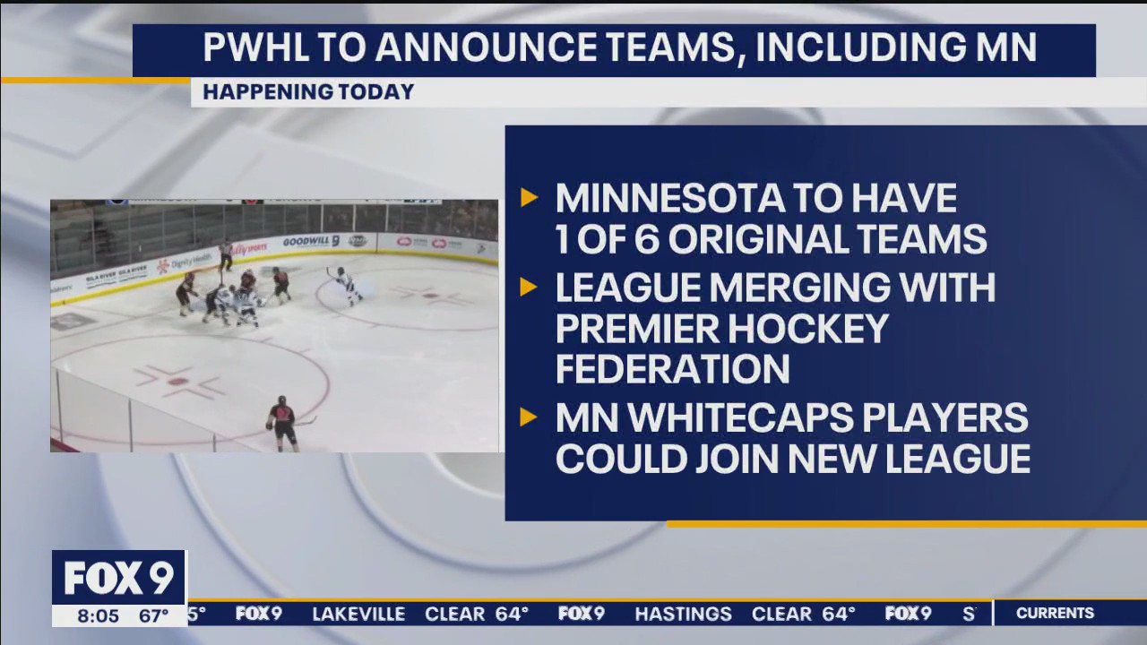 Minnesota to get professional women's hockey team