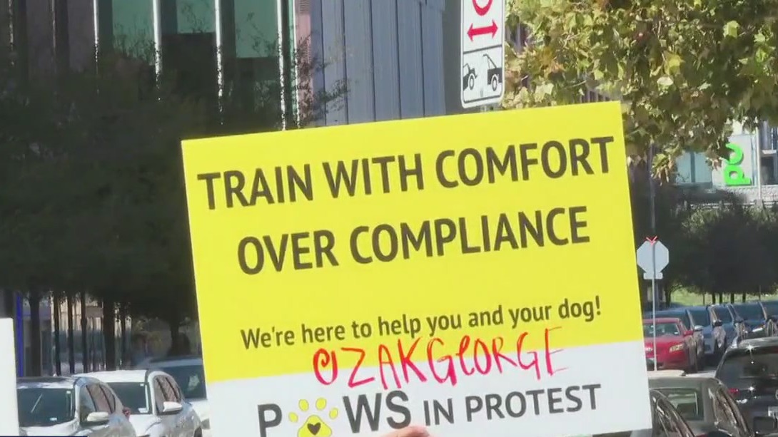 Protest in east Austin against dog trainer