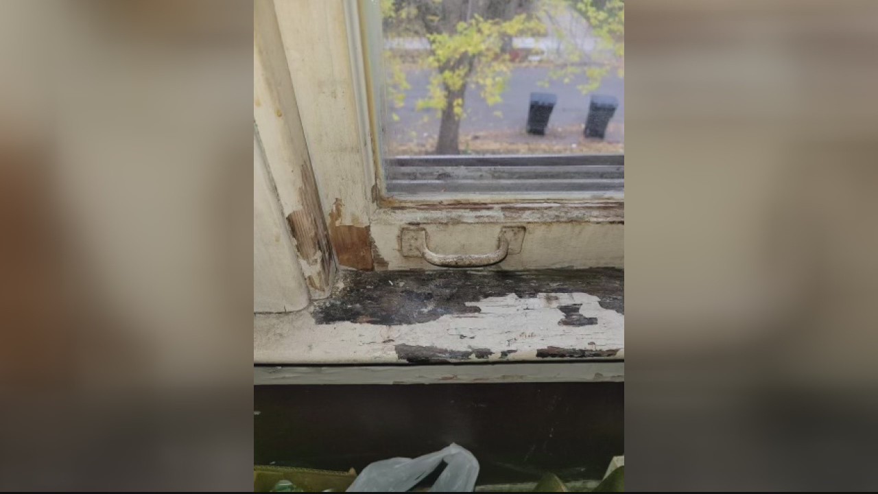 Activist takes umbrage with City Council vote to relax landlord lead checkups