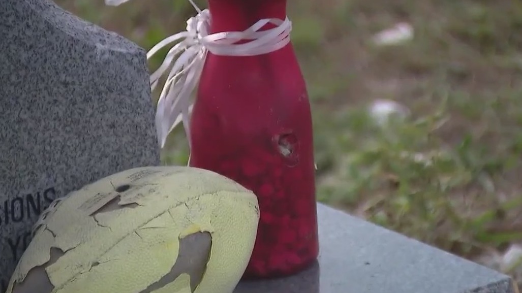 Mother blames new generation for stolen grave