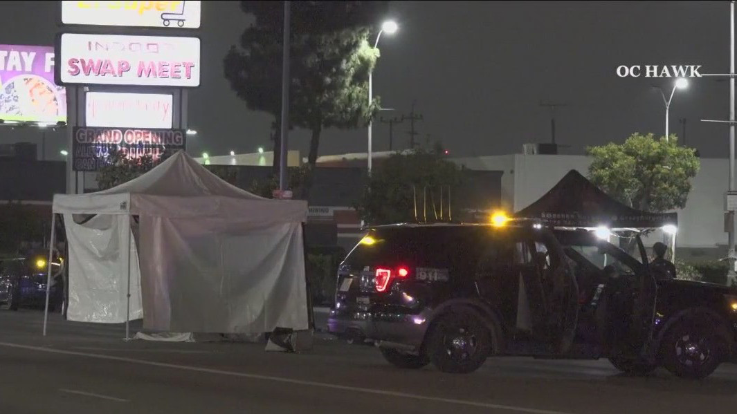 Pedestrian struck and killed in Valley Glen