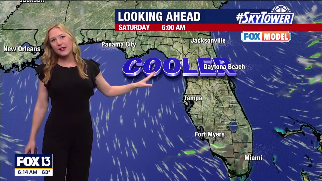 Tampa weather: Sunny, pleasant Saturday