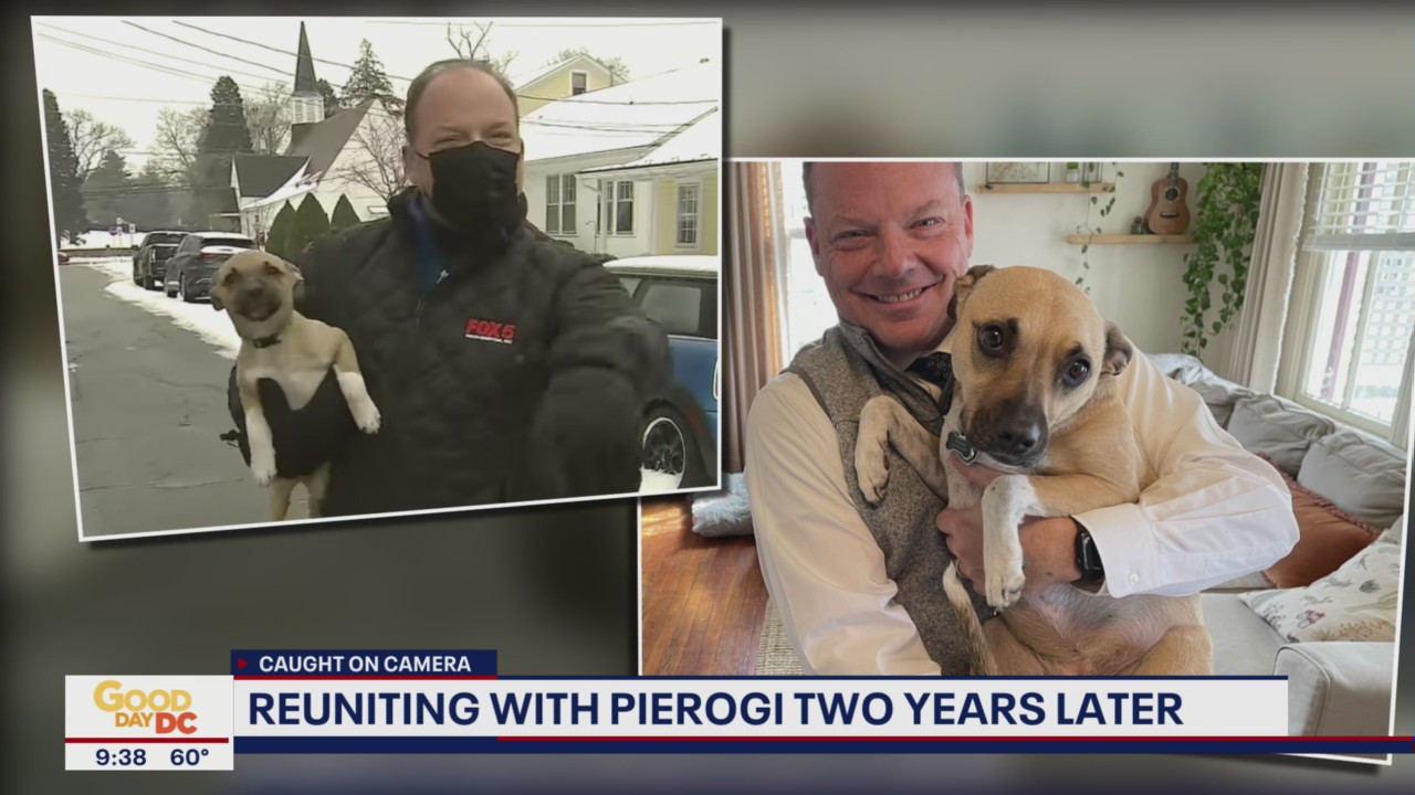 Bob Barnard reunites with puppy who crashed live shot 2 years later