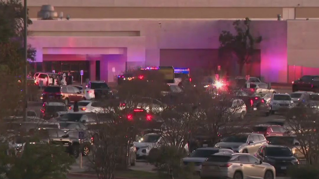 Mall shooting was shoe deal gone wrong: docs