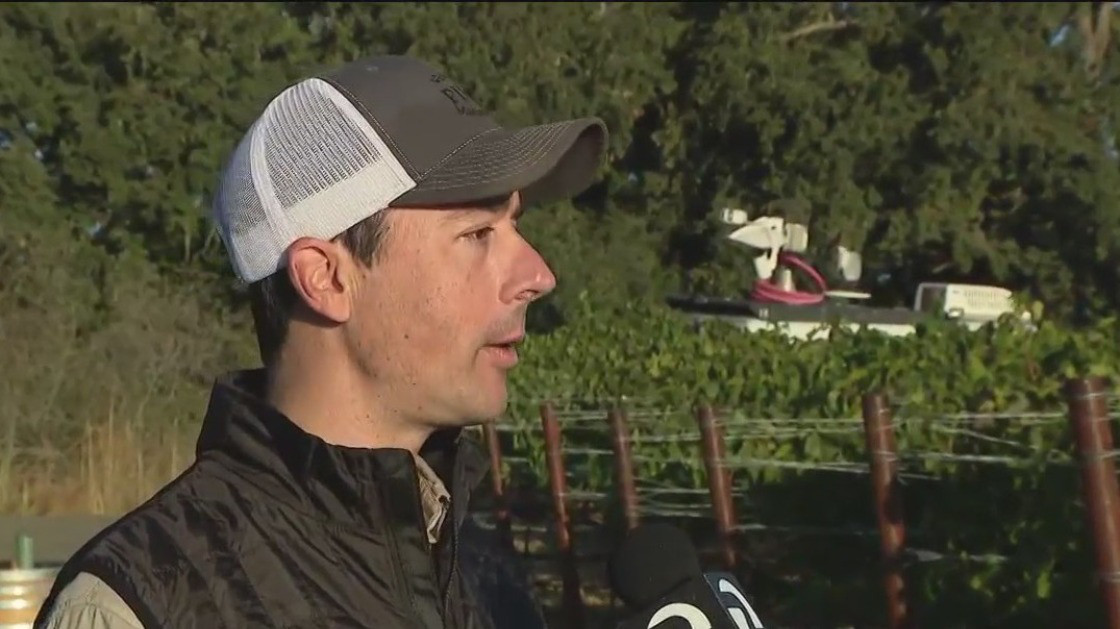 A look at this year's wine harvest with Justin Leigon