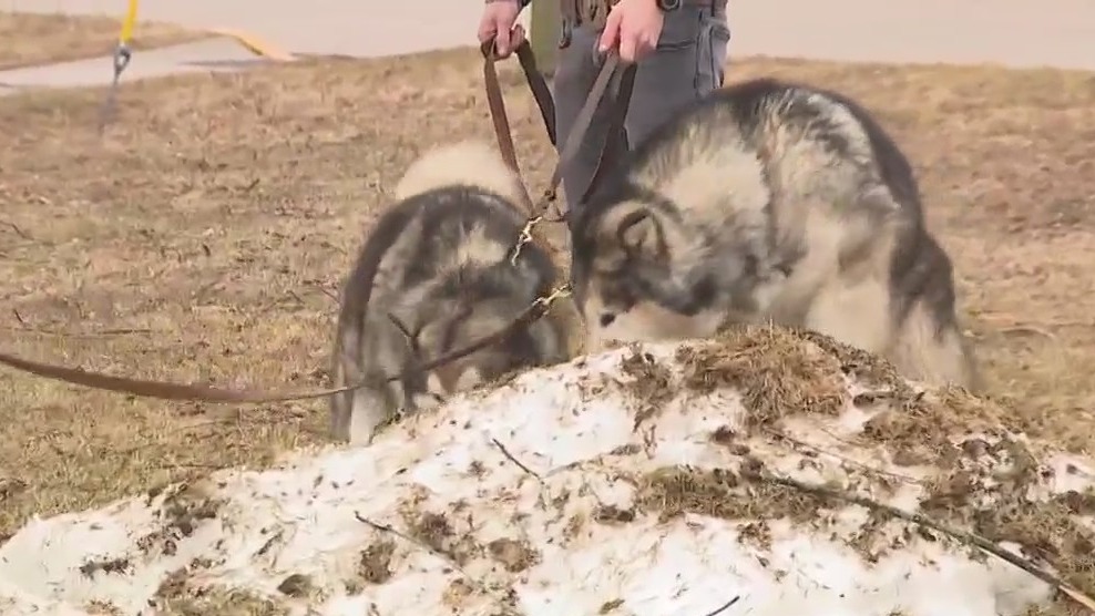 Outdoor fun planned at Winterfest in Cedarburg