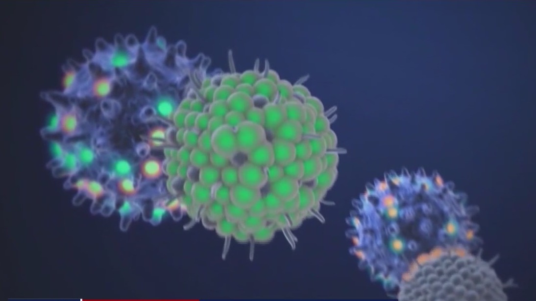 We spoke with a virologist about concerns over the omicron variant
