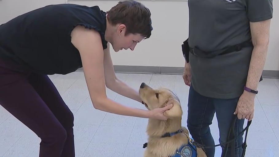 Northbrook organization trains dogs to respond to tragedies like Highland Park massacre