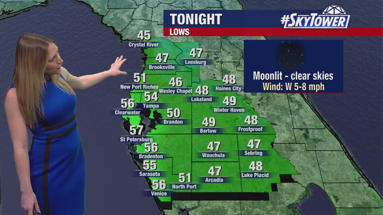 Tampa weather: Clear skies overnight