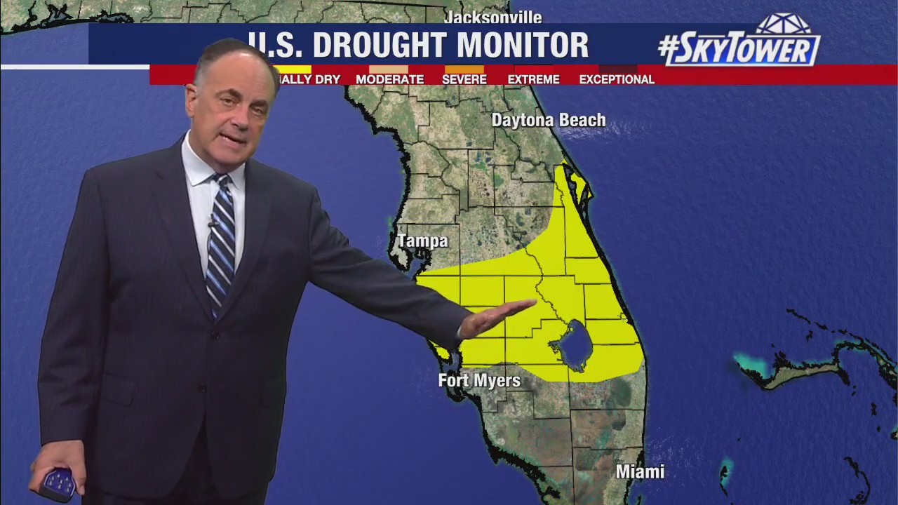 Tampa Weather | Clear, warm days continue