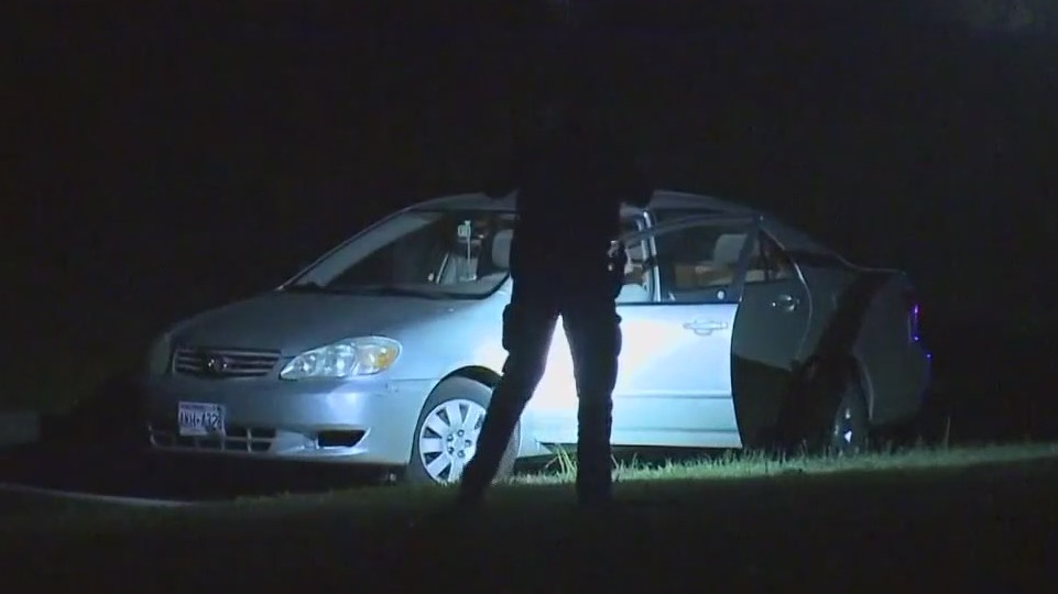 Mount Pleasant fatal hit-and-run, police seek driver