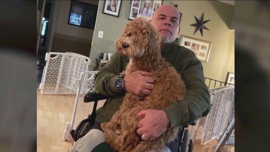 Search continues for emotional support dog