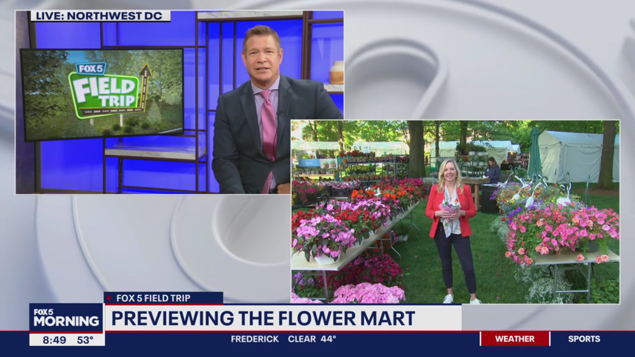 National Cathedral Flower Mart preview