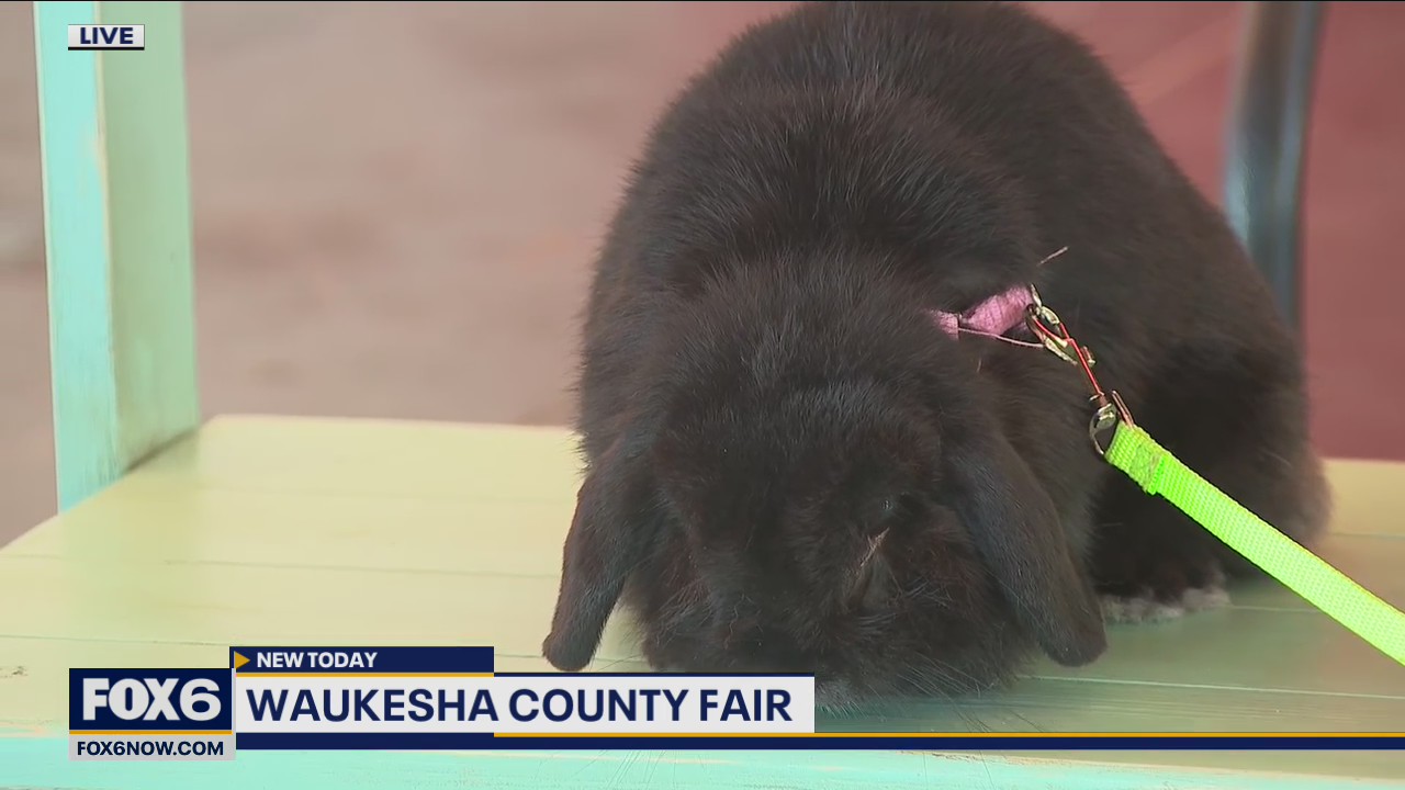 Get ready for 5 days of live concerts, rides, games and more as the Waukesha County Fair