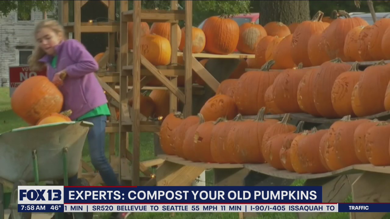 Experts: Compost your old pumpkins