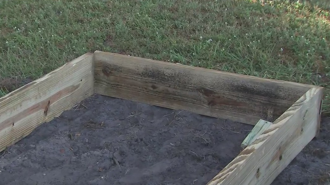 Building a garden bed: What type of wood should you use?