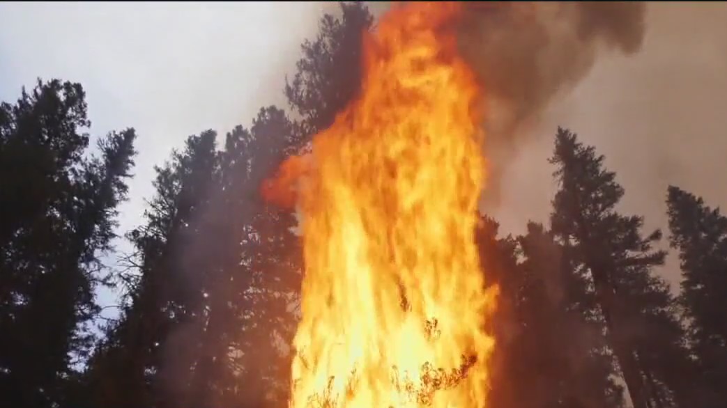 Man pleads guilty to starting fires near Dixie Fire