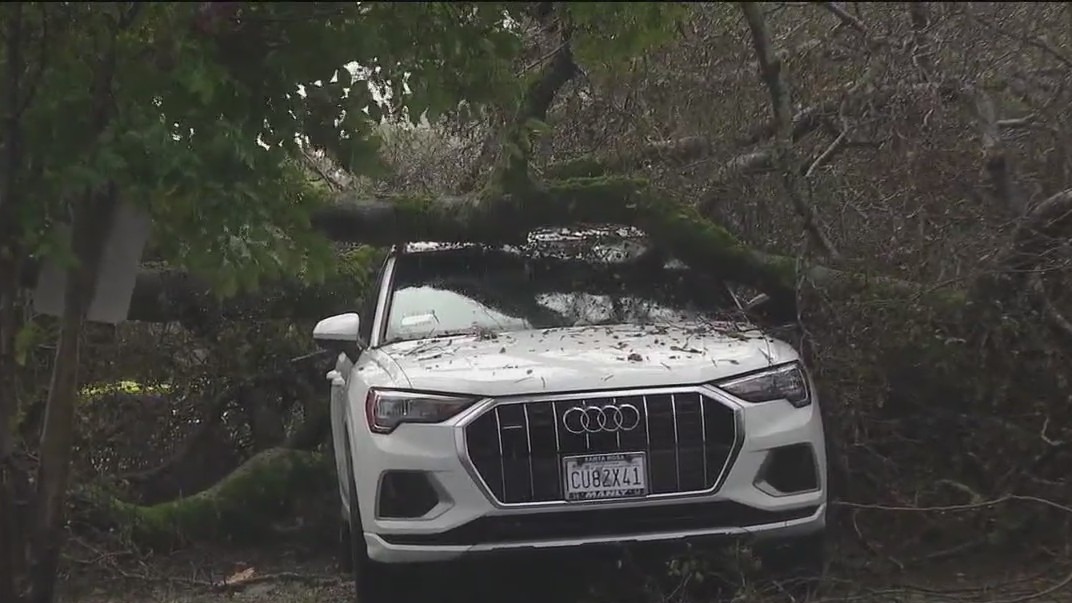 North Bay braces for more downed trees, outages, and potential flooding