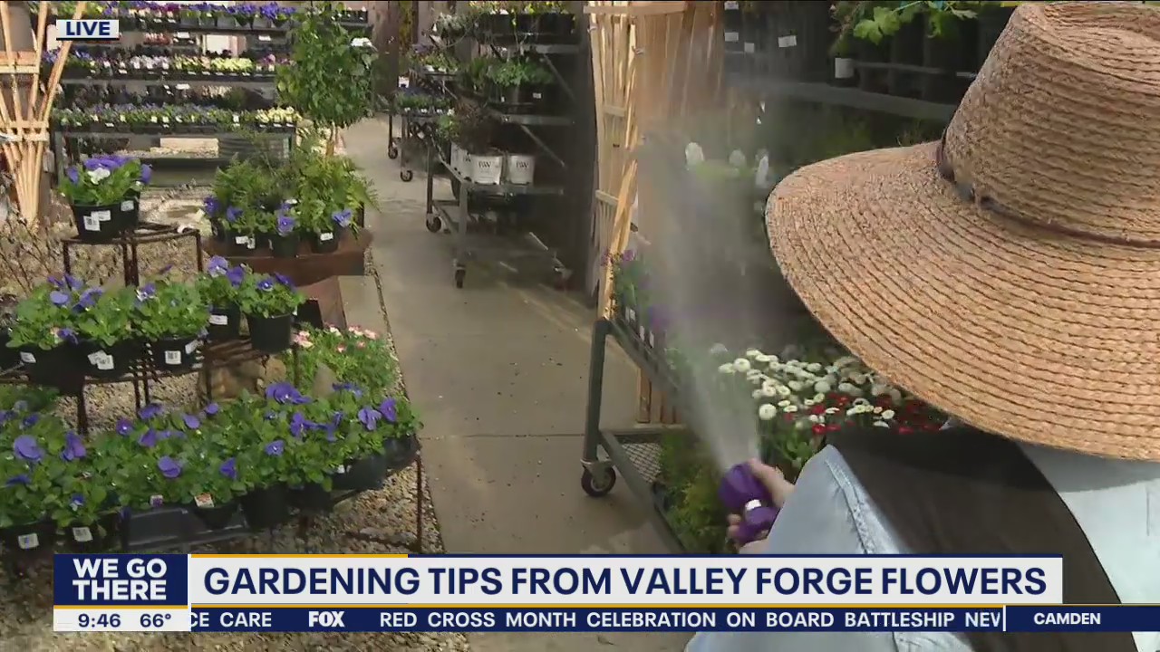 Gardening tips from Valley Forge Flowers