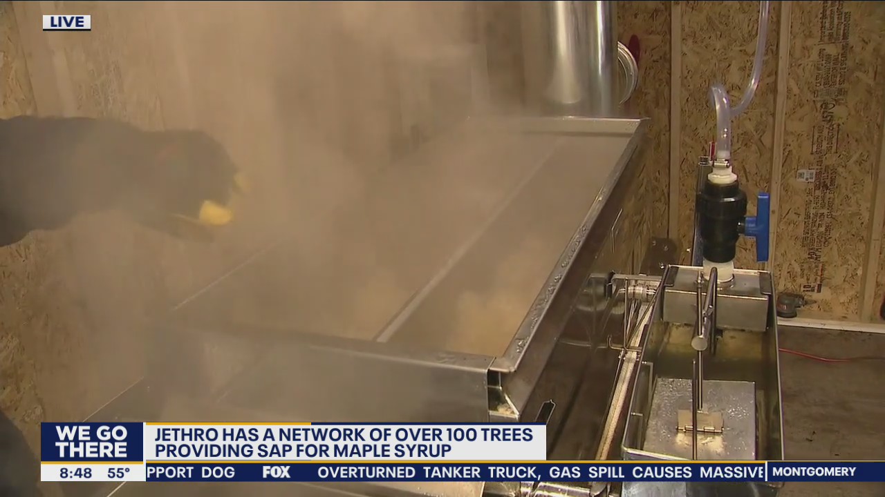 Philadelphia neighbors make their own maple syrup