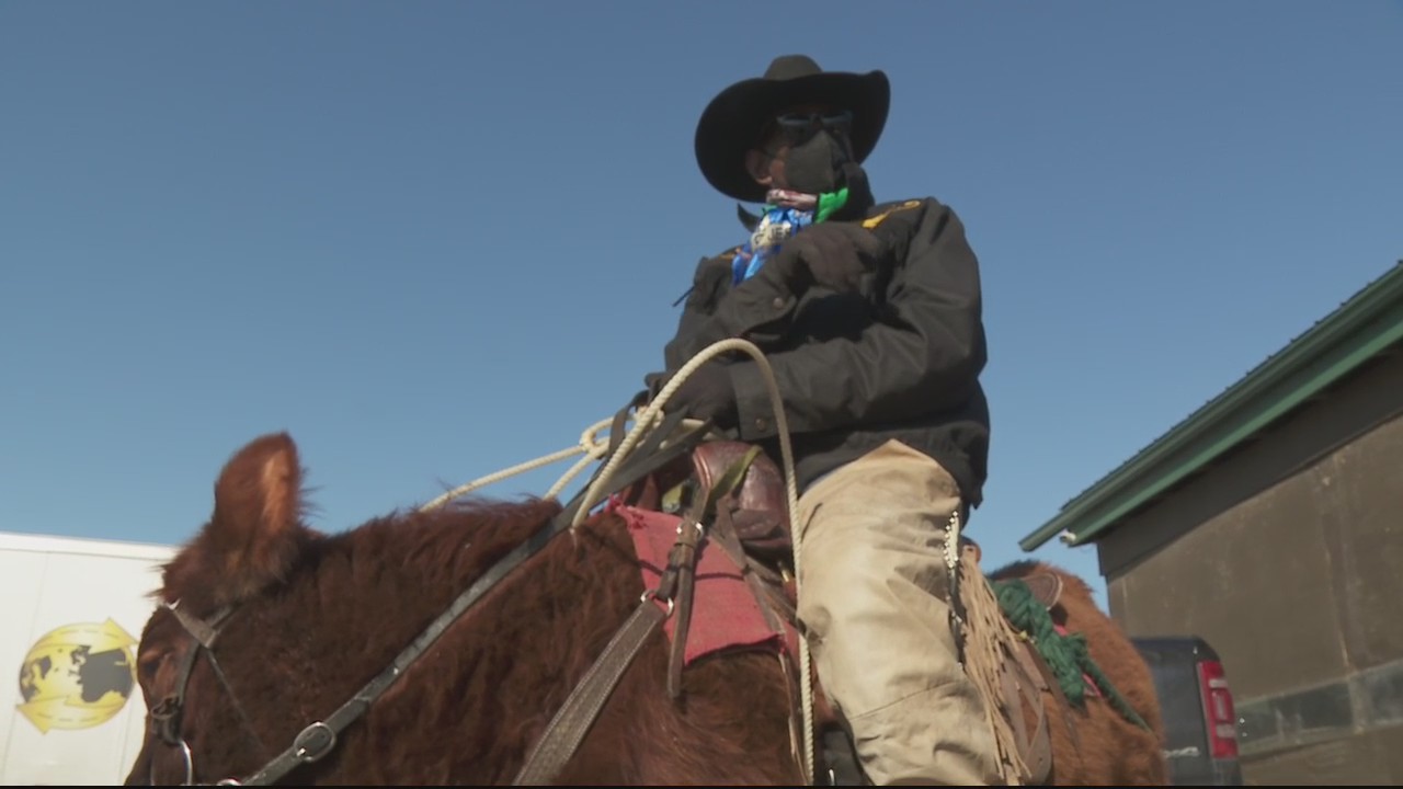 Cowboy Will takes cow for a ride through Detroit streets