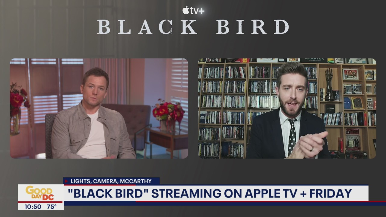 Taron Egerton, Paul Walter Hauser talk "Black Bird," working with Ray Liotta