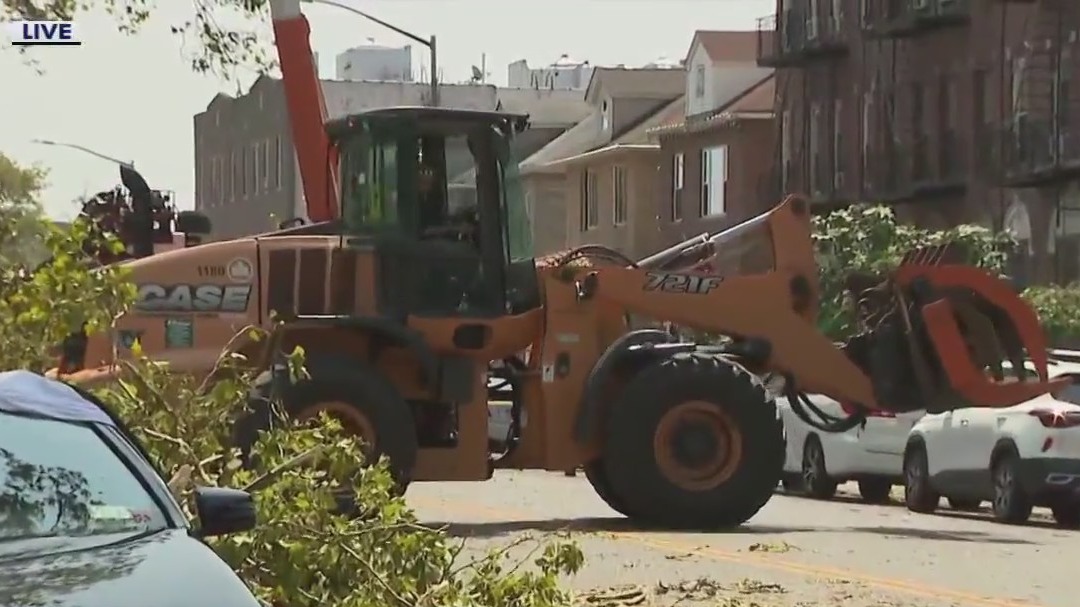 Bensonhurst thunderstorm cleanup