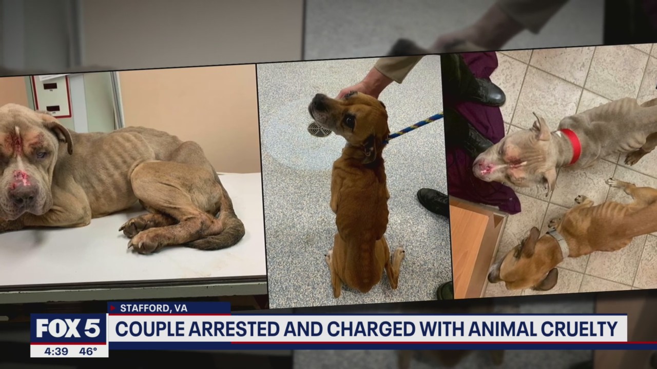 Fredericksburg couple arrested and charged with animal cruelty