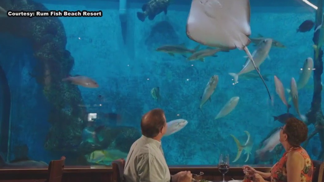 St. Pete resort offers unique dining experience