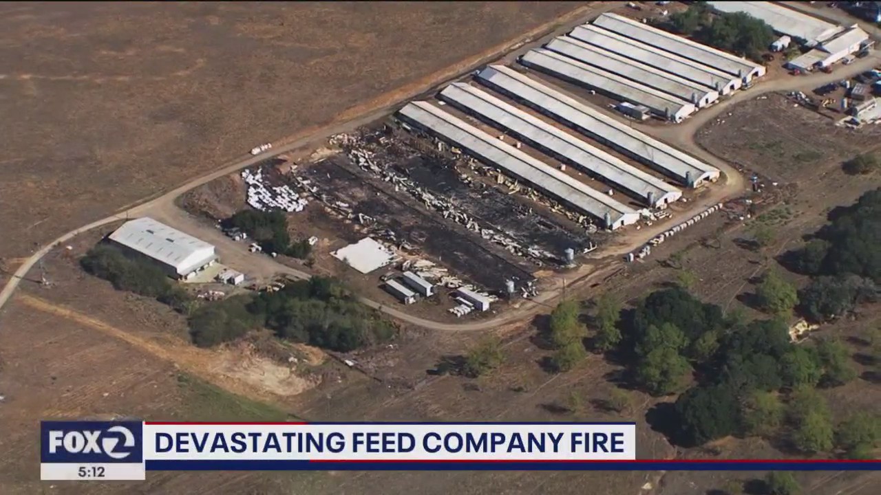 Innovative, eco-friendly North Bay farm may not survive a recent fire