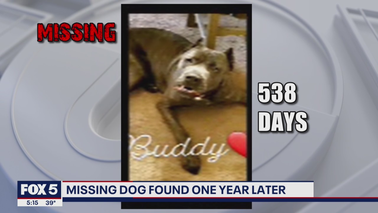 Missing dog found more than 500 days later