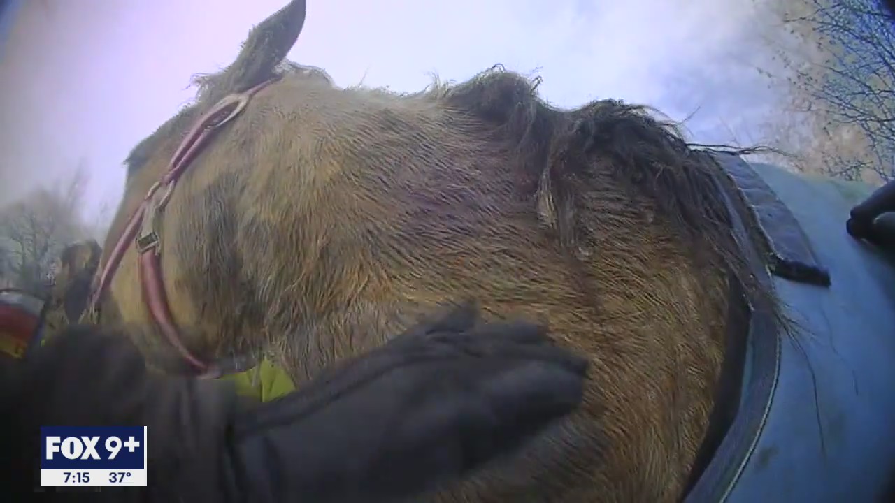 Video shows Isanti deputies rescuing horse from icy waters