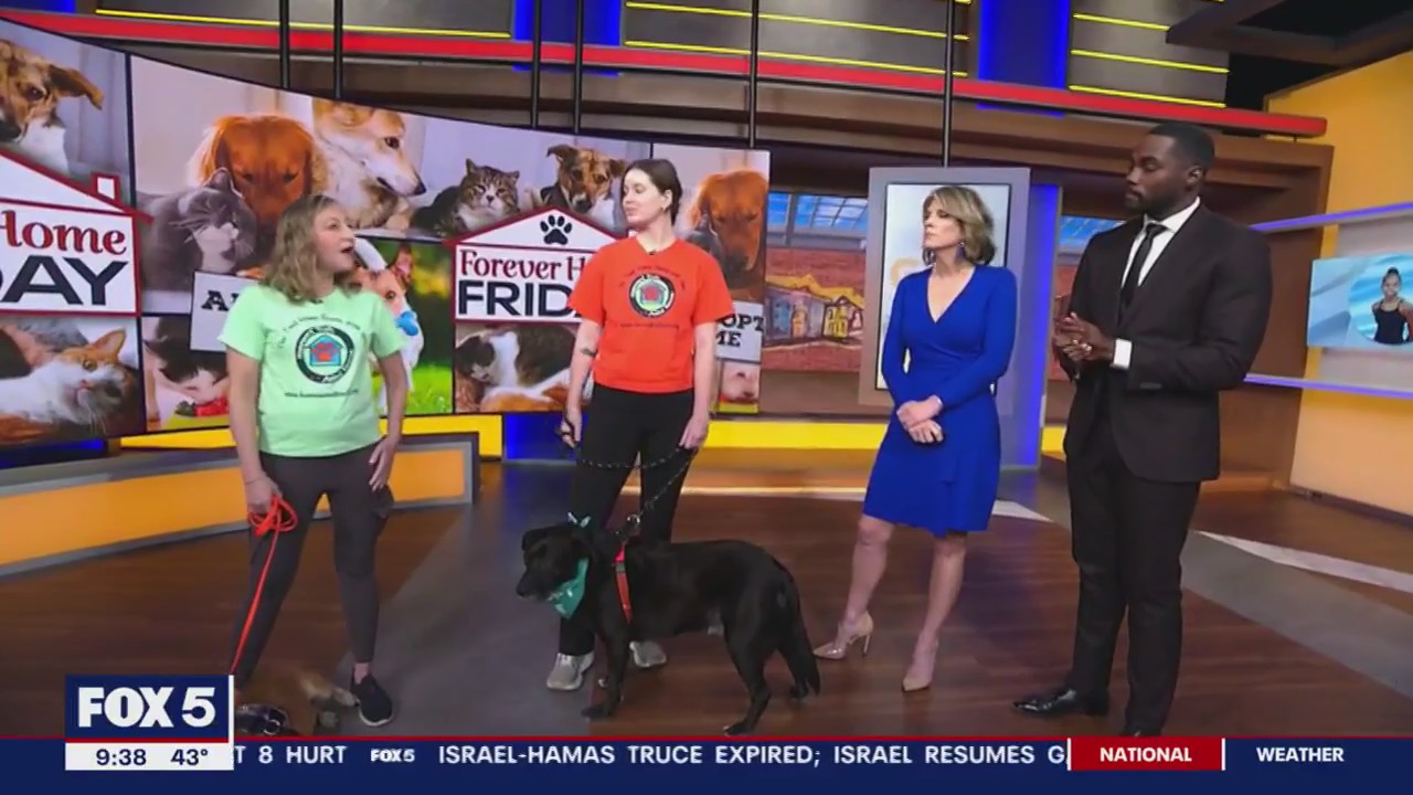 Forever Home Friday with Homeward Trails