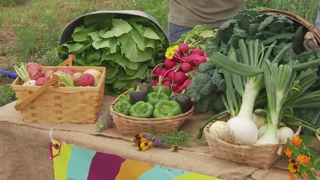 Program manger, food & leadership fellow talk about Urban Roots