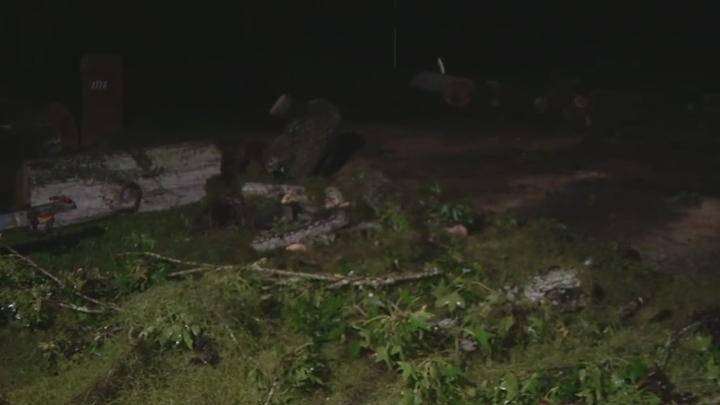 Storms topple trees, knock out power in Seminole County