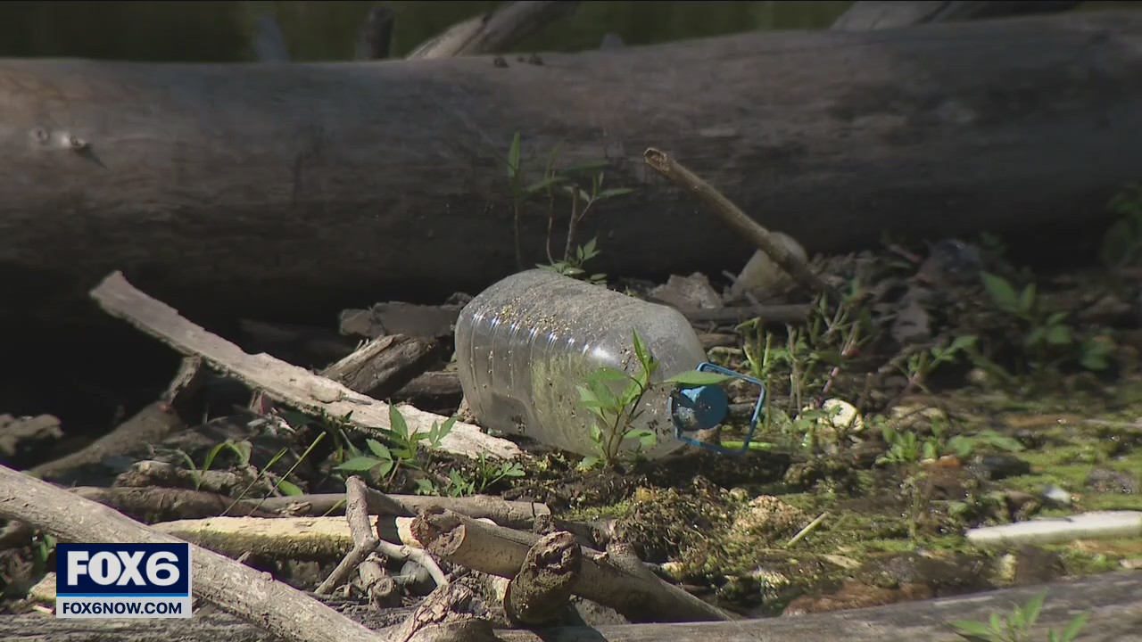 River cleanup at Wauwatosa's Webster Park