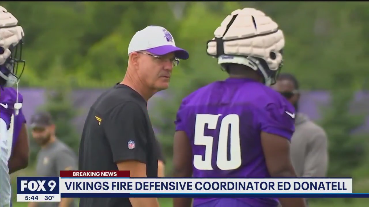 Minnesota Vikings fire defensive coordinator Ed Donatell