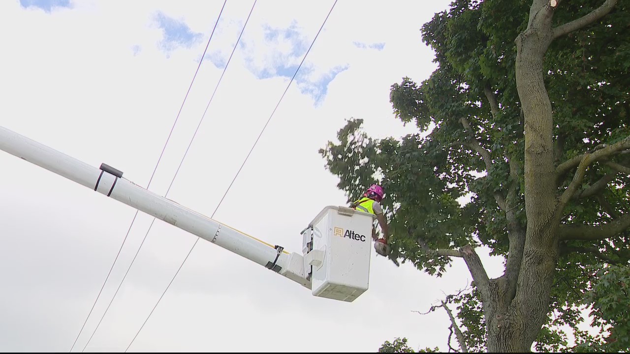 DTE Energy encourages more women to sign up for tree trimming academy