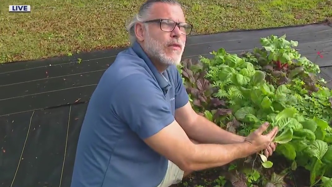 Thinning spring plants for proper spacing