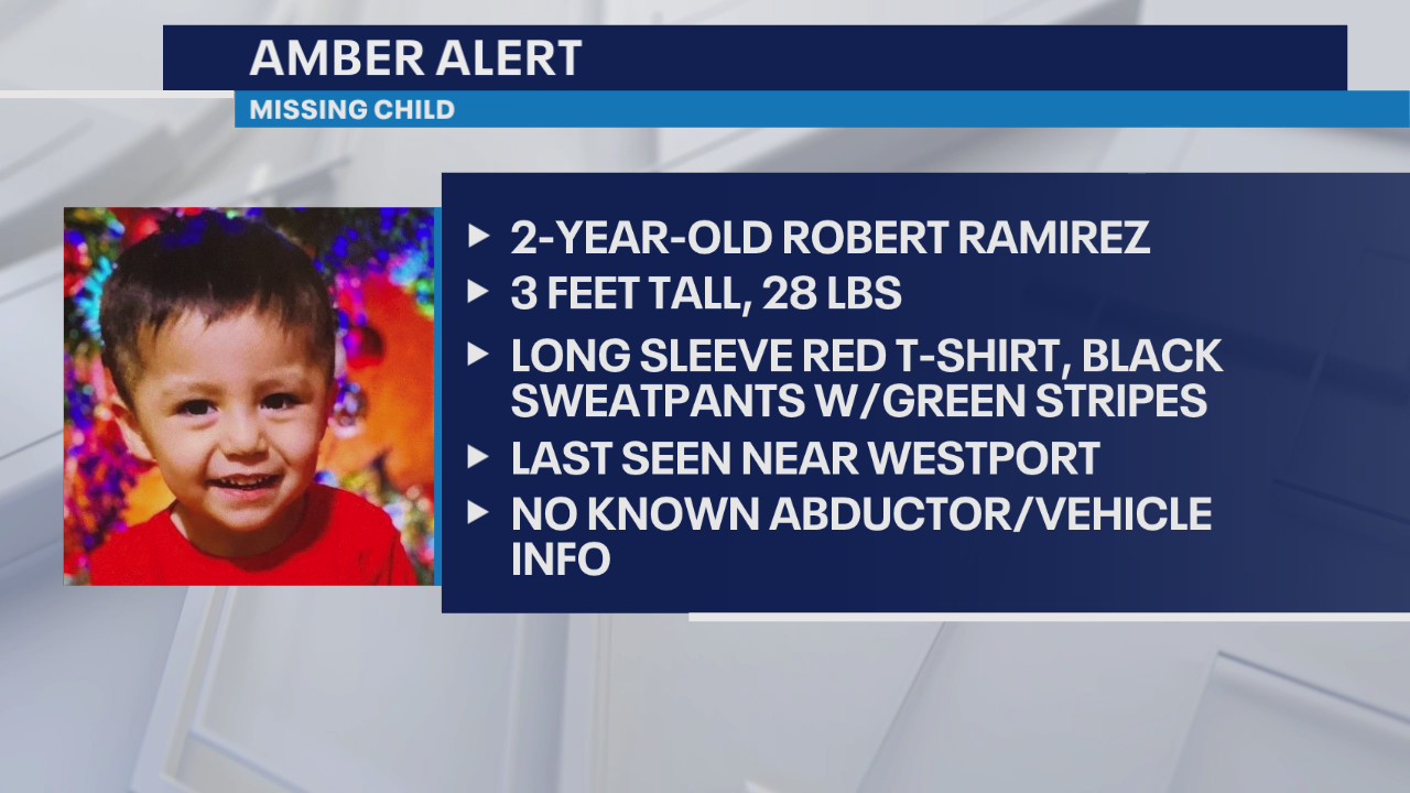 Minnesota AMBER Alert: Boy abducted near Alexandria