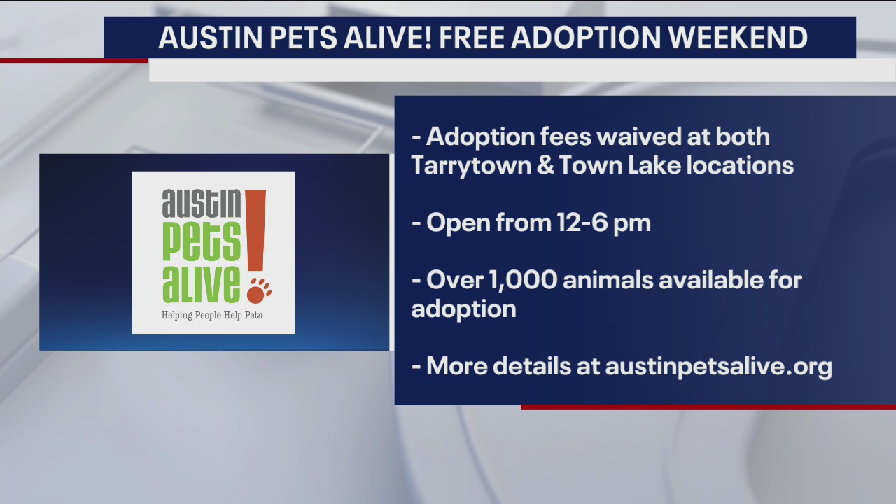 Adoption fees waived this weekend at Austin Pets Alive!