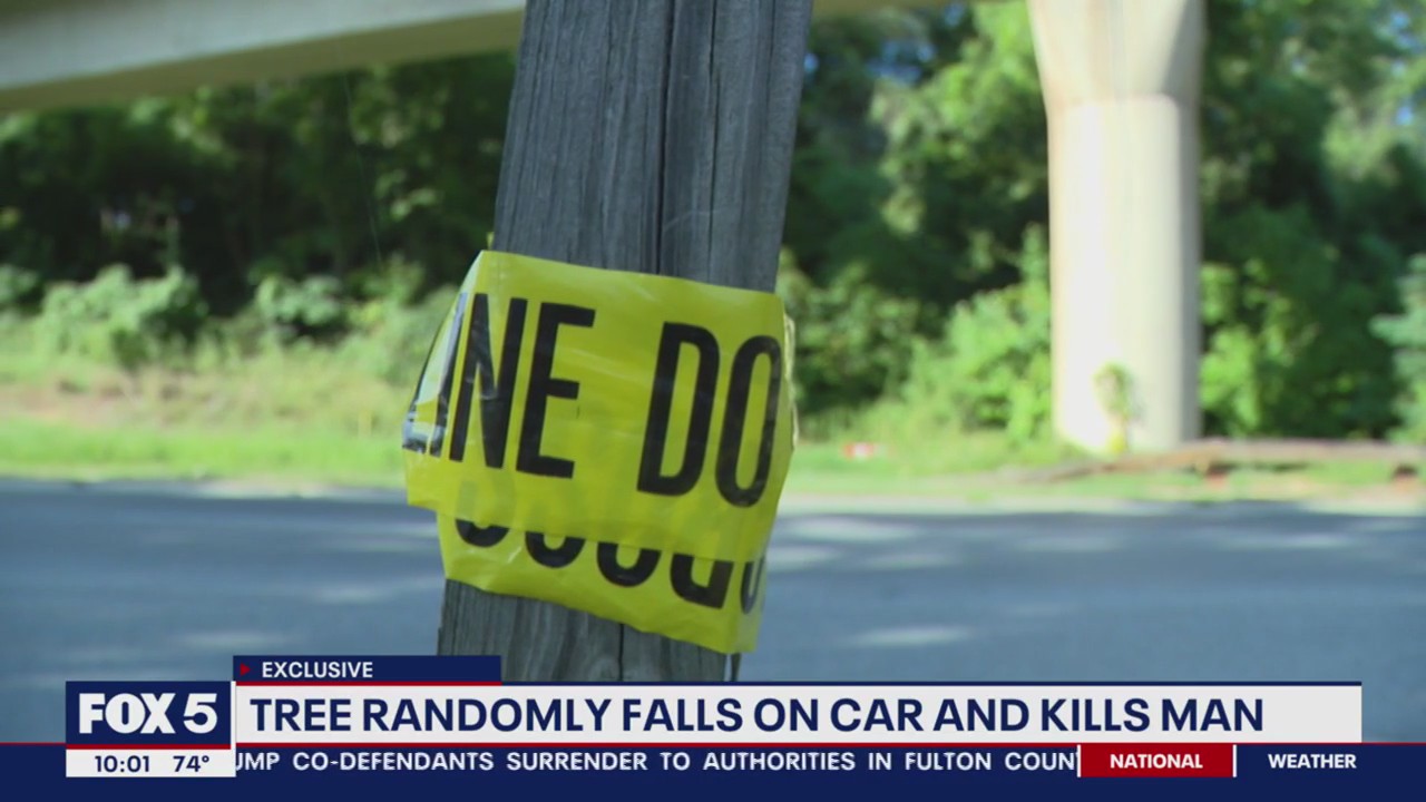 PG County family grieving after tree falls on car, kills man