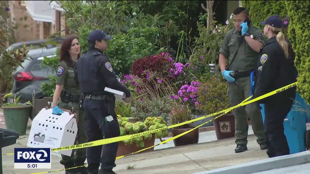 Family tragedy unfolds at San Francisco home