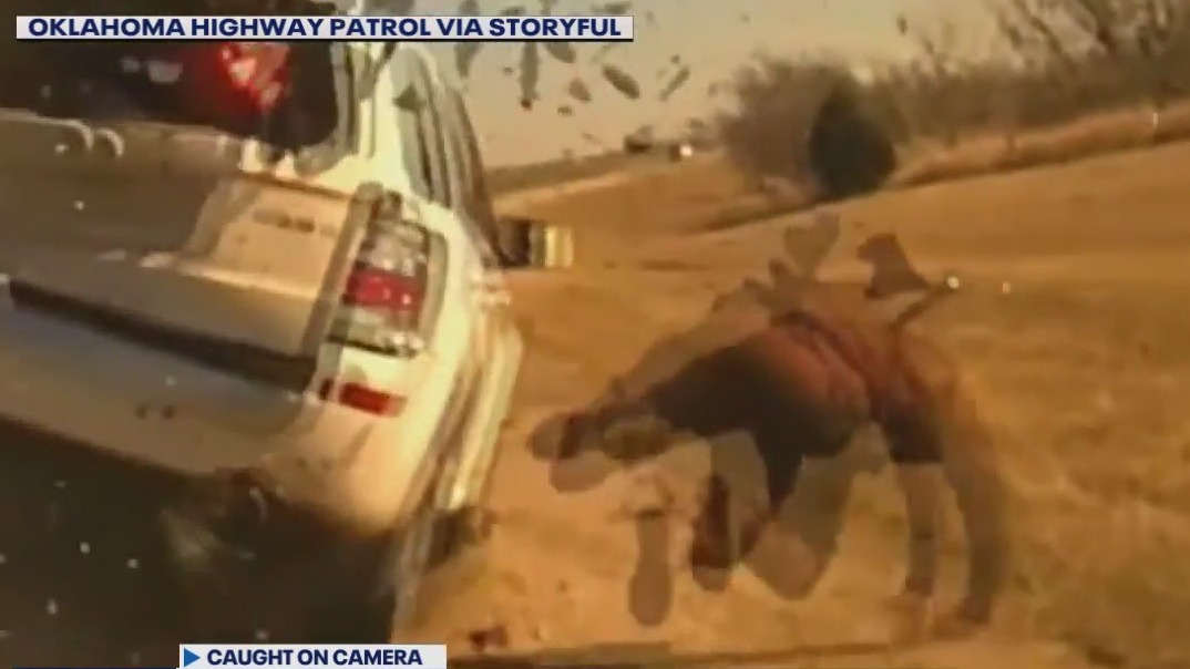 Crash sends cop flying