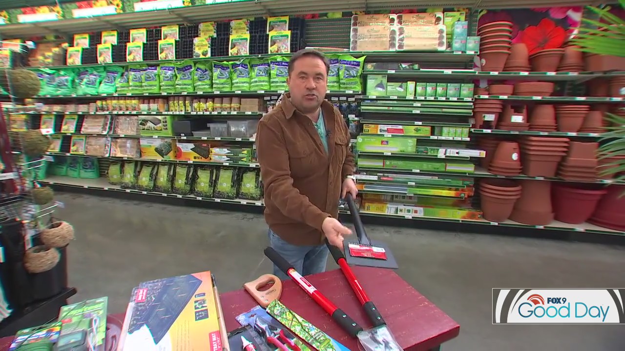 Winter gardening is a thing -- here are the tools you'll need to be successful
