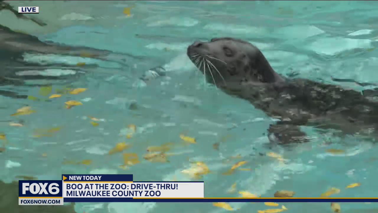 If you haven’t been to the Milwaukee County Zoo for a while there are some new animals you probably haven’t seen