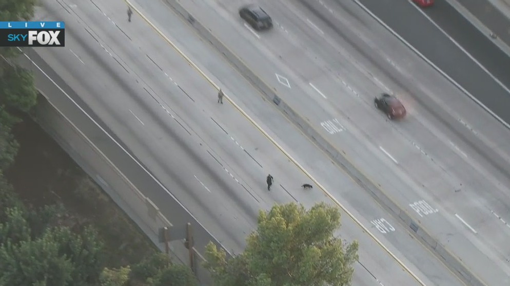 405 Freeway shut down: CHP investigating possible freeway shooting