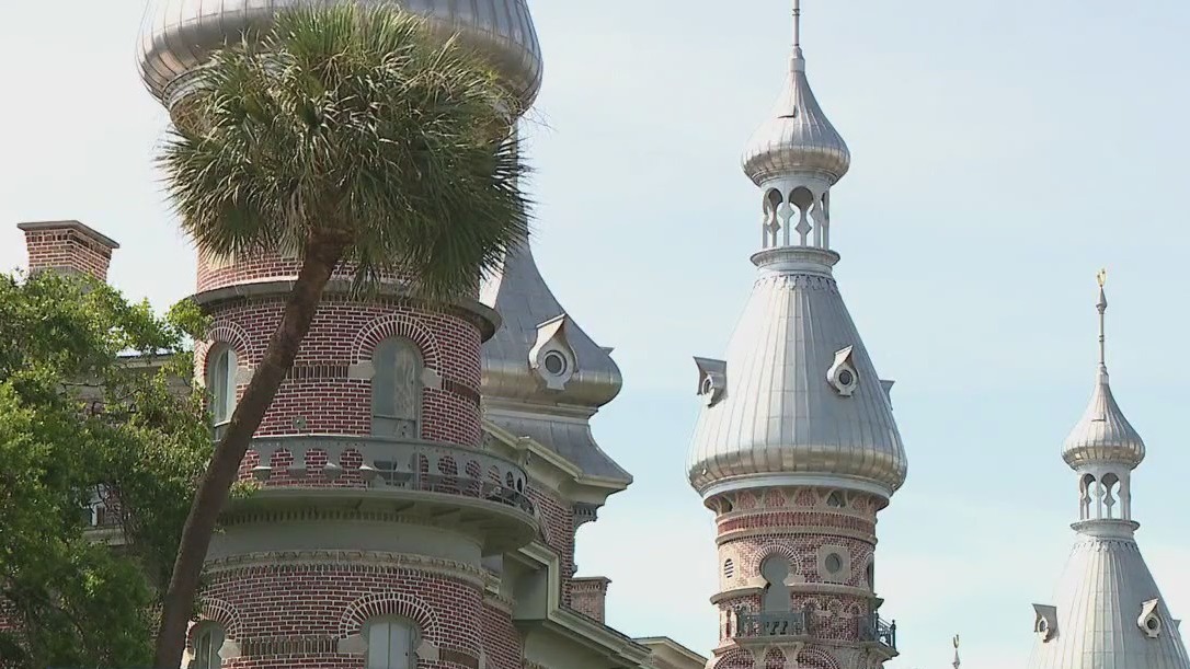 University of Tampa offering new support line
