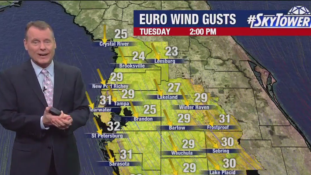 Tampa weather | Windy on Feb. 6, 2024